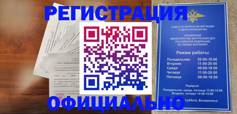 прописка поиск в Каменке